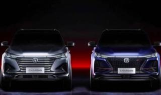 环比同比是什么意思